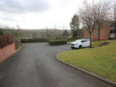 Picture 11